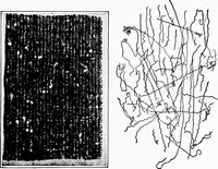 An illustration from Study of fabrics (1920)