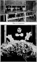 An illustration from Study of fabrics (1920)