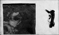 An illustration from Study of fabrics (1920)