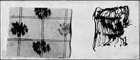 An illustration from Study of fabrics (1920)