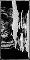 An illustration from Study of fabrics (1920)