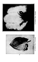 An illustration from Study of fabrics (1920)