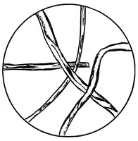 An illustration from Study of fabrics (1920)