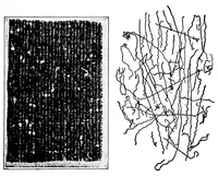 An illustration from Study of fabrics (1920)