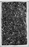 An illustration from Study of fabrics (1920)
