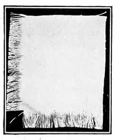 An illustration from Study of fabrics (1920)