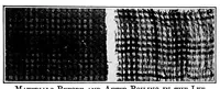 Picture 11 of 16 from Study of fabrics (1920), leaf 73