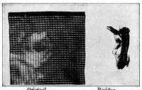Picture 12 of 16 from Study of fabrics (1920), leaf 96