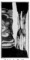 Picture 14 of 16 from Study of fabrics (1920), leaf 98