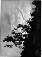 An illustration from Flame, electricity and the camera; man's progress from the first kindling of fire to the wireless telegraph and the photography of color (1900)
