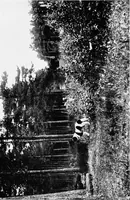 An illustration from The happy garden (1912)