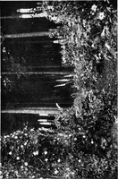 An illustration from The happy garden (1912)