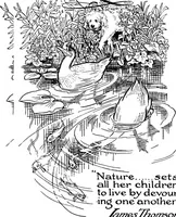 Picture 38 of 45 from The happy garden (1912), leaf 210