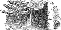 An illustration from The happy garden (1912)