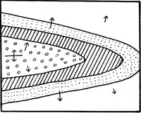 An illustration from Geological and topographical maps, their interpretation and use, a handbook for the geologist and civil engineer (1911)