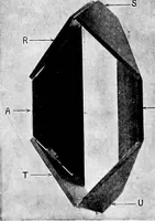 An illustration from Mechanism (1920)