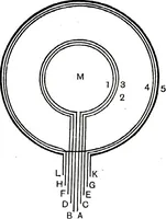 An illustration from Collected scientific papers (1920)