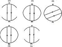Picture 34 of 66 from Collected scientific papers (1920), leaf 317