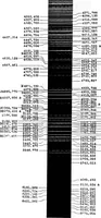 An illustration from Two lectures on the development and present position of chemical analysis by emission spectra (1911)