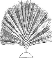 An illustration from Elementary treatise on electricity and magnetism (1903)