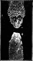 An illustration from Elementary treatise on electricity and magnetism (1903)