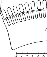 Picture 197 of 250 from A text-book of electrical engineering; (1920), leaf 398