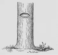 Picture 9 of 9 from Boundaries and landmarks: a practical manual (1912), leaf 38