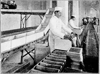 Picture 383 of 1241 from Material handling cyclopedia; a reference book covering definitions, descriptions, illustrations and methods of use of material handling machines employed in industry (1921), leaf 391