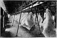 Picture 410 of 1241 from Material handling cyclopedia; a reference book covering definitions, descriptions, illustrations and methods of use of material handling machines employed in industry (1921), leaf 408