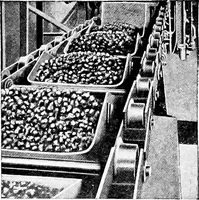 An illustration from Material handling cyclopedia; a reference book covering definitions, descriptions, illustrations and methods of use of material handling machines employed in industry (1921)