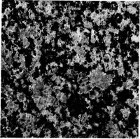 Picture 22 of 57 from Report on the building and ornamental stones of Canada (1912), leaf 204