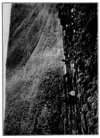 Picture 12 of 18 from The lead and zinc pigments (1909), leaf 180