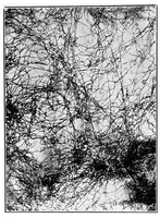 An illustration from The lead and zinc pigments (1909)