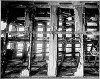 An illustration from The San Francisco earthquake and fire; a brief history of the disaster; a presentation of facts and resulting phenomena, with special reference to the efficiency of building materials, lessons of the disaster (1906)