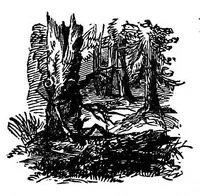 An illustration from Fifty years in the magic circle; being an account of the author's professional life; his wonderful tricks and feats; with laughable incidents, and adventures as a magician, necromancer, and ventriloquist (1871)