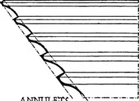 An illustration from The beautiful necessity; seven essays on theosophy and architecture (1910)