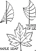 An illustration from The beautiful necessity; seven essays on theosophy and architecture (1910)