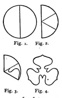 Picture 13 of 15 from Color study; a manual for teachers and students (1895), leaf 74