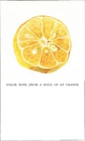 Picture 52 of 56 from Color problems : a practical manual for the lay student of color (1902), leaf 372