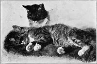 An illustration from Dutch painters of the nineteenth century. With biographical notices (1898)
