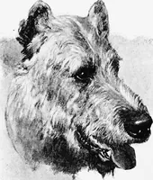 Picture 88 of 225 from Dutch painters of the nineteenth century. With biographical notices (1898), leaf 157