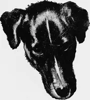 An illustration from Dutch painters of the nineteenth century. With biographical notices (1898)