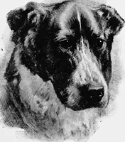 An illustration from Dutch painters of the nineteenth century. With biographical notices (1898)