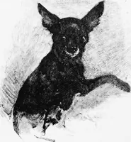 An illustration from Dutch painters of the nineteenth century. With biographical notices (1898)