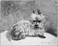 An illustration from Dutch painters of the nineteenth century. With biographical notices (1898)