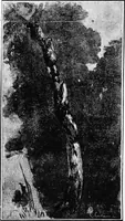 Picture 186 of 225 from Dutch painters of the nineteenth century. With biographical notices (1898), leaf 289