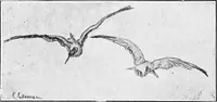 An illustration from Dutch painters of the nineteenth century. With biographical notices (1898)