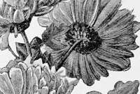 An illustration from Dutch painters of the nineteenth century. With biographical notices (1898)