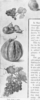 Picture 214 of 225 from Dutch painters of the nineteenth century. With biographical notices (1898), leaf 321