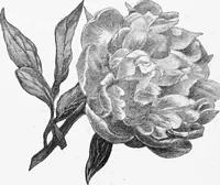 An illustration from Dutch painters of the nineteenth century. With biographical notices (1898)